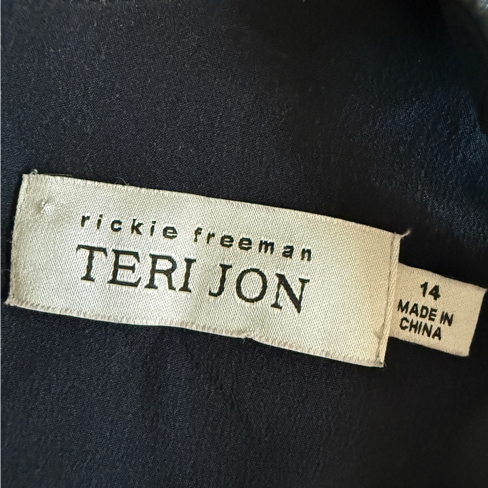 Teri Jon Richard Freeman Silk Elegant Navy and White Maxi Dress medium - Picture 10 of 15